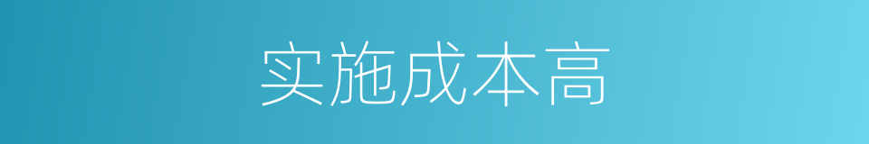 实施成本高的同义词