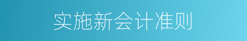 实施新会计准则的同义词