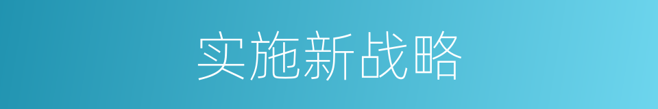 实施新战略的同义词