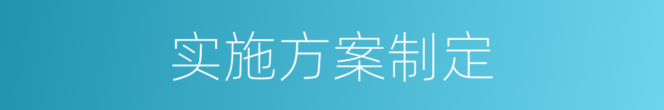 实施方案制定的同义词