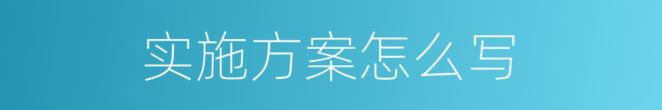 实施方案怎么写的同义词