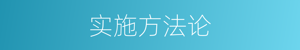 实施方法论的同义词