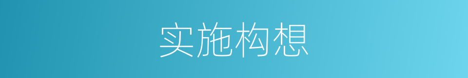 实施构想的同义词