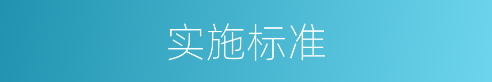 实施标准的同义词