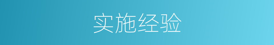 实施经验的同义词