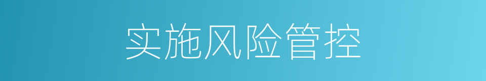 实施风险管控的同义词