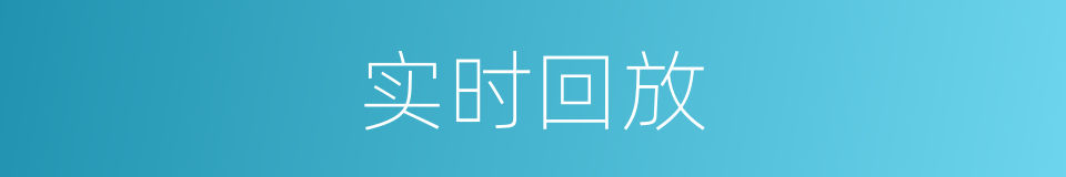 实时回放的同义词