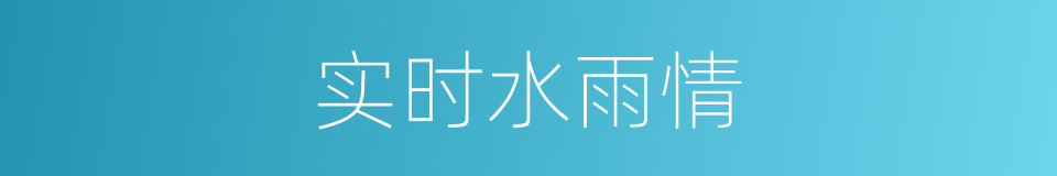 实时水雨情的同义词