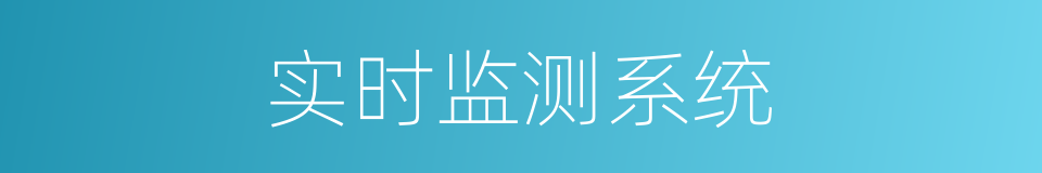 实时监测系统的同义词