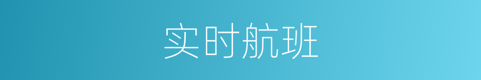 实时航班的同义词