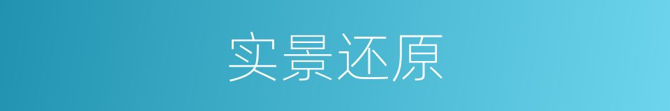 实景还原的同义词