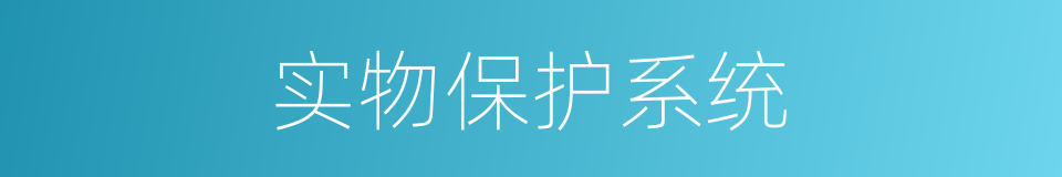 实物保护系统的同义词