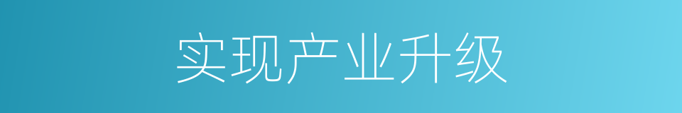 实现产业升级的同义词