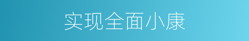 实现全面小康的同义词