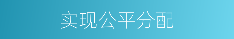实现公平分配的同义词