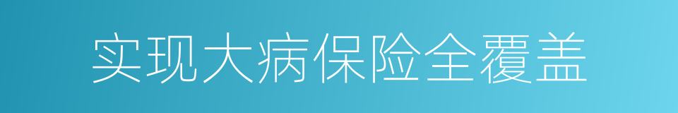 实现大病保险全覆盖的同义词