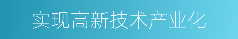 实现高新技术产业化的同义词