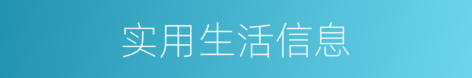 实用生活信息的同义词
