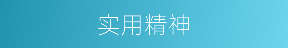 实用精神的同义词