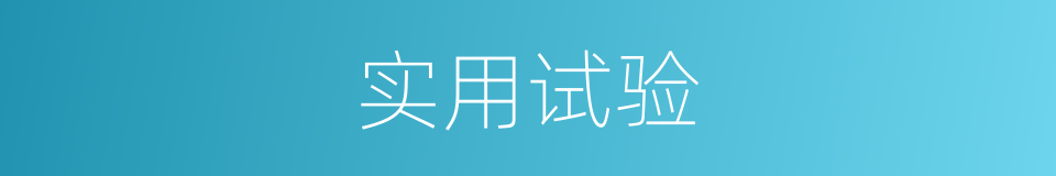 实用试验的同义词