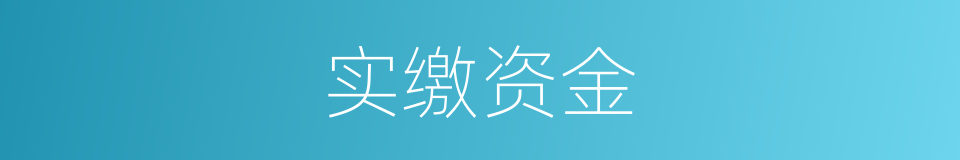 实缴资金的同义词