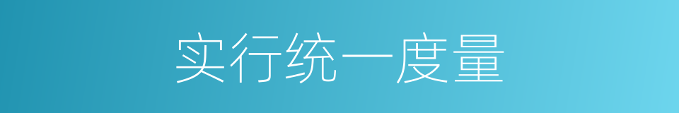 实行统一度量的同义词