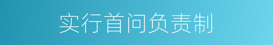 实行首问负责制的同义词