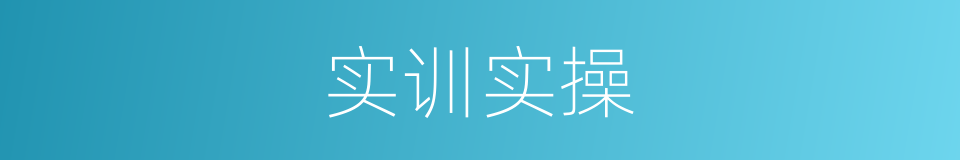 实训实操的同义词