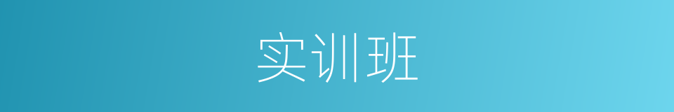 实训班的同义词