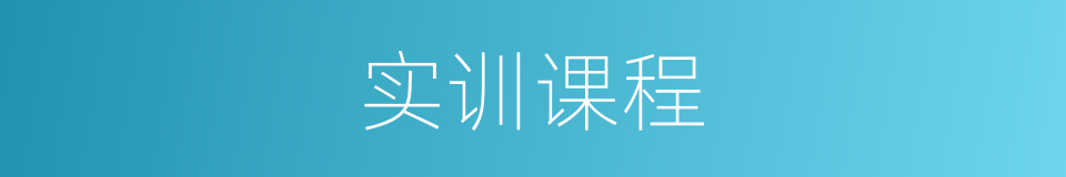 实训课程的同义词