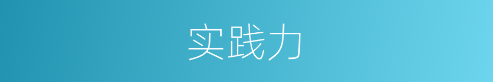实践力的同义词