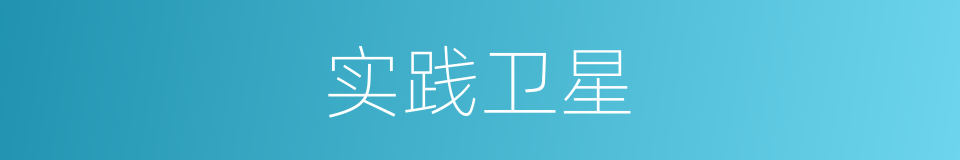 实践卫星的同义词