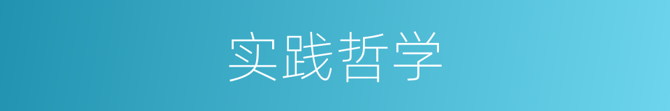 实践哲学的同义词