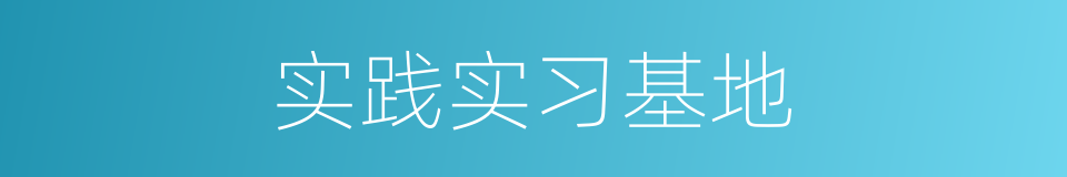 实践实习基地的同义词
