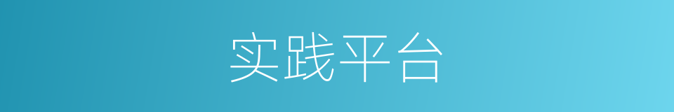 实践平台的同义词