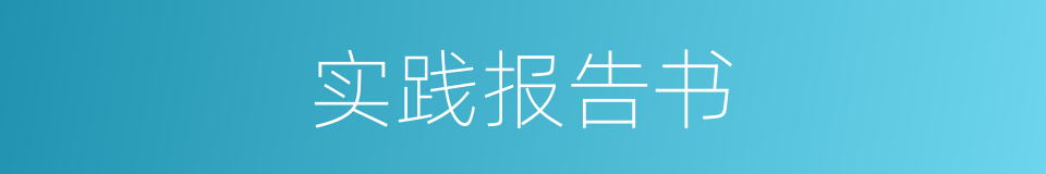 实践报告书的同义词