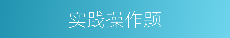 实践操作题的同义词