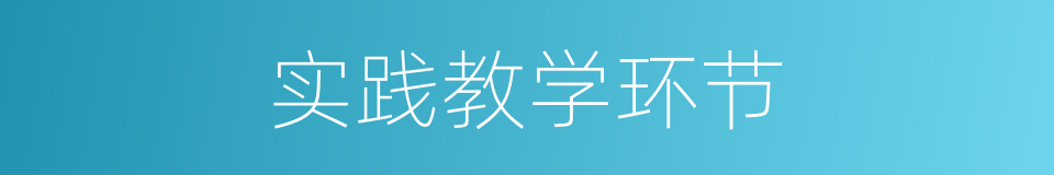 实践教学环节的同义词