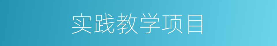 实践教学项目的同义词