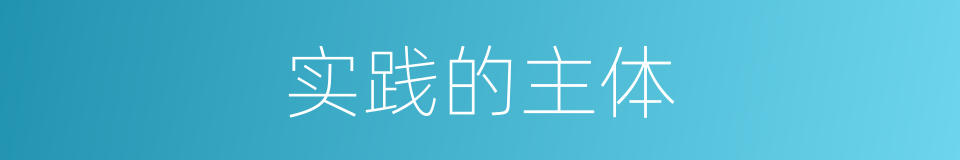 实践的主体的同义词