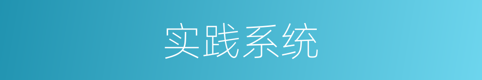 实践系统的同义词