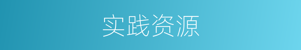 实践资源的同义词