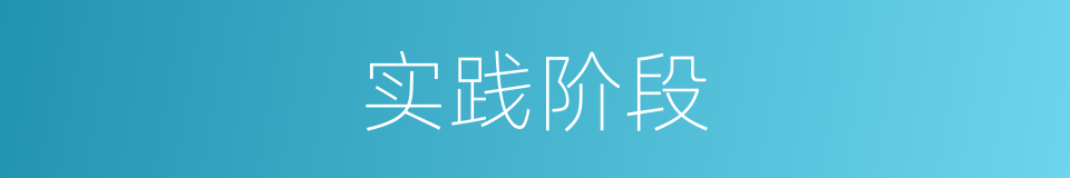 实践阶段的同义词