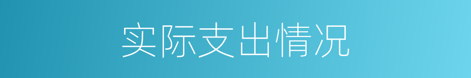 实际支出情况的同义词