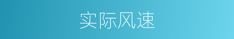 实际风速的同义词