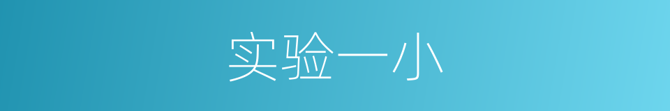 实验一小的同义词