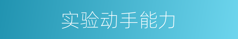 实验动手能力的同义词