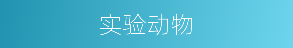 实验动物的同义词