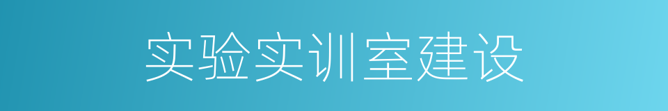 实验实训室建设的同义词