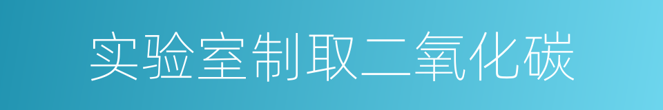 实验室制取二氧化碳的同义词